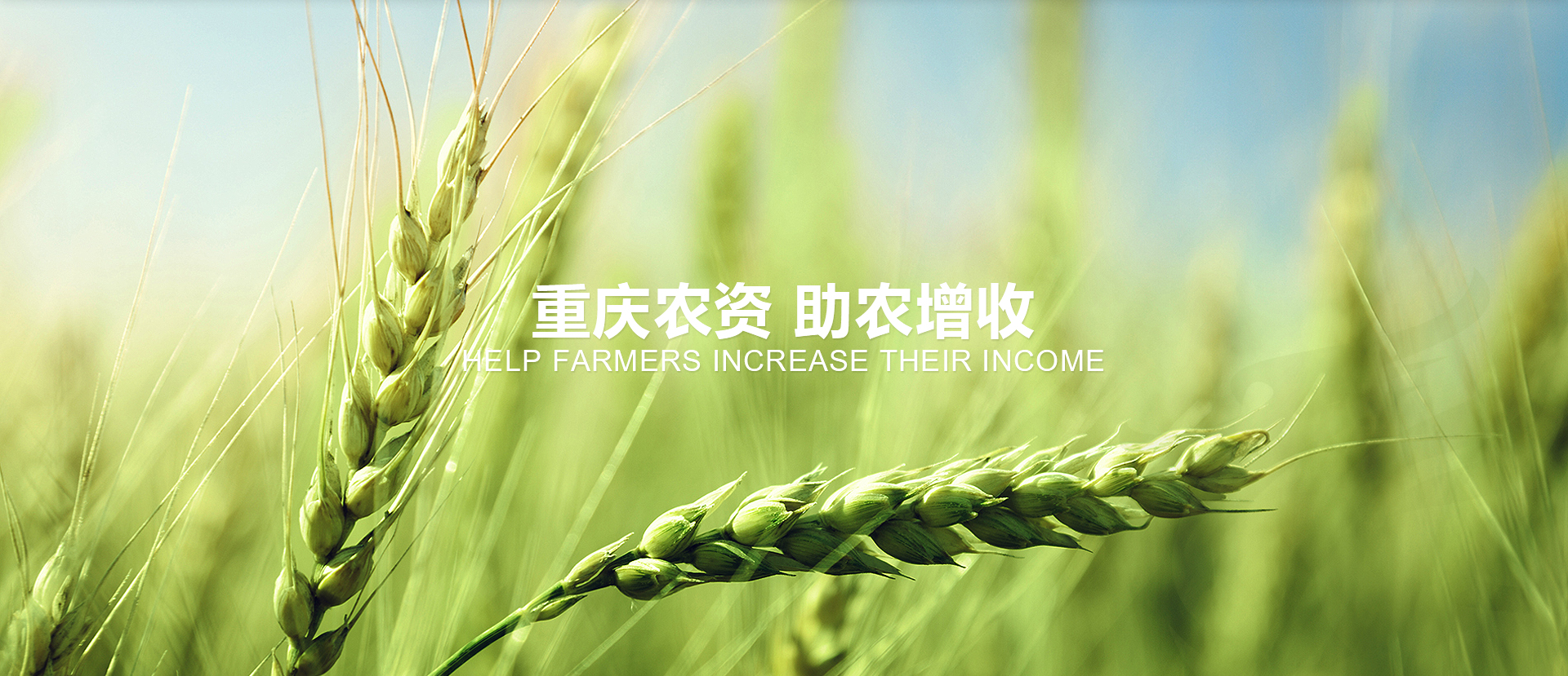 Z6��������ʱ���й������ٷ���վ